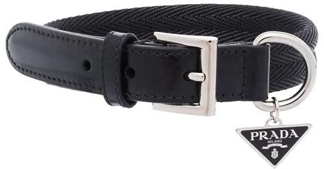 prada collar dog|designer inspired dog collar.